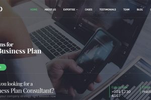 Business Consultations