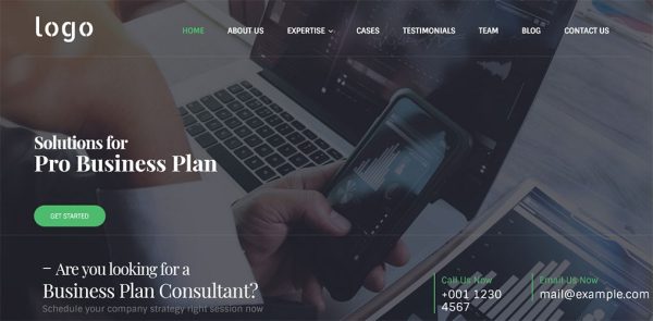 Business Consultations