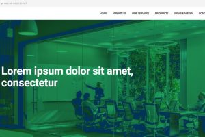 Wealth Management Agency